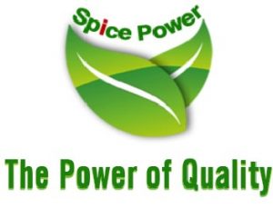 Finish-logo-spice-power-with-slogan1