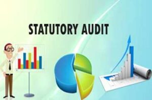 Statutory Audit Services