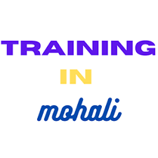 traininginmohali