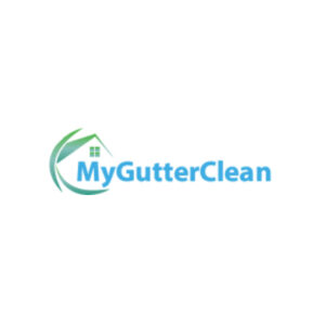 Gutter Cleaning Service